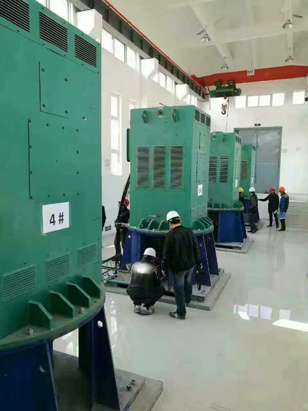 平罗某污水处理厂使用我厂的立式高压电机安装现场一年质保