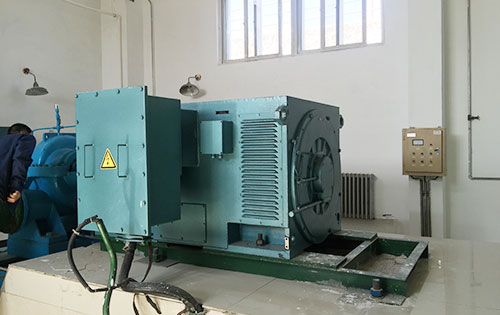 平罗某水电站工程主水泵使用我公司高压电机